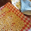CUSCINI TERMICI CON NOCCIOLI DI CILIEGIA