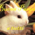 Il mio blog ad impatto zero