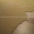 Il Colorante alimentare