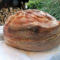 Pane bianco e semina