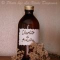 Oleolito di Achillea - Metodo a freddo
