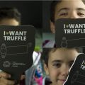 Tuber magnatum Pico,  il tartufo bianco di Alba
