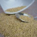 RUBRICA: I CEREALI (QUESTI SCONOSCIUTI):[...]