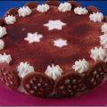 TORTA ...PAN DI STELLE 1