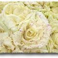 Radicchio variegato di Castelfranco