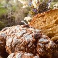 Bomba la Brioche che si sente una Colomba ????