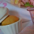 Muffin ... in trasparenza