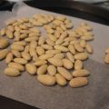 i cantucci della nonna Alba
