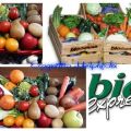 BioExpress, direttamente in tavola con pronta[...]