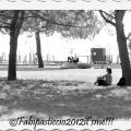 Domenica di luglio, che caldo fa...riconoscere[...]
