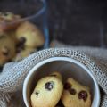Biscotti con uvetta e mirtilli disidratati