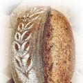 Pane integrale per WBD 2021