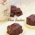 MINI SACHER