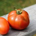 POMODORINI AL CARTOCCIO CON LO ZENZERO