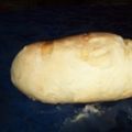 Pane con farina manitoba