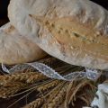 Pane marchigiano, pane senza sale