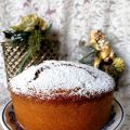 TORTA FACILE CON ALBICOCCHE FRULLATE