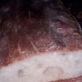 PANE CIABATTA con Poolish