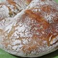 No-Knead Bread-(il pane senza impasto) mia[...]