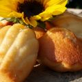 Madeleines