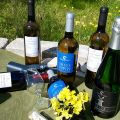 Sancarraro, vini di Sicilia