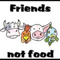 Uno stile di vita diverso: Veganismo