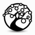 Arbol de la vita: earrings peace