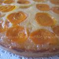 TORTA CON ALBICOCCHE