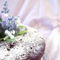 Torta albumi e cacao e offro lavoro !!