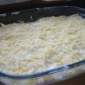 Lasagne della Manu