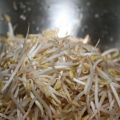Insalata di germogli di soia con merluzzetto[...]