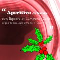 Aperitivo per le Feste di Natale al lampone e[...]