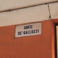 {In giro per Bologna} Corte de' Galluzzi