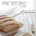 Pane integrale di grano Gentil Rosso