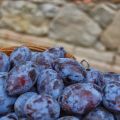 DOMENICA UGGIOSA…MARMELLATA DI SUSINE E LIMONE