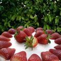 Cheesecake a freddo
