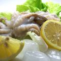Molluschi e crostacei - Polpetti in umido