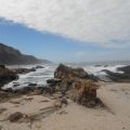 Lungo la Garden Route: da Colchester a[...]