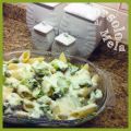SFORMATO DI BROCCOLI SICILIANI E BESCIAMELLA[...]