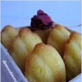 Madeleines al profumo di rosa