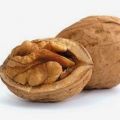 Frutta secca: tutti i benefici