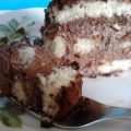 Tiramisu al cioccolato senza uova