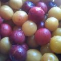 FRUTTI BIOLOGICI DIMENTICATI