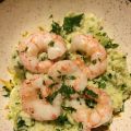 Cous cous cremoso