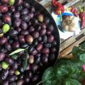 Olive a passolone