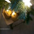 Trick or Treat : The Halloween Tree !! About[...]