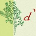 Olio extra vergine di oliva 
