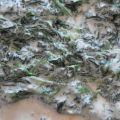 Sformato di pasta sfoglia con spinaci a panna