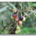 Olive all'acqua!