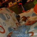 Questione di cuccioli!